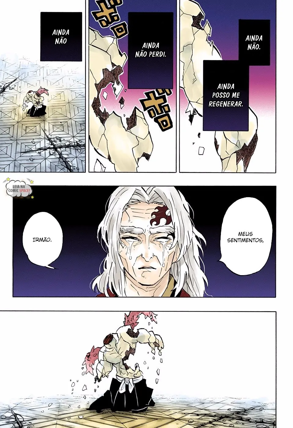 Read Demon Slayer_ Kimetsu no Yaiba PT Manga Online