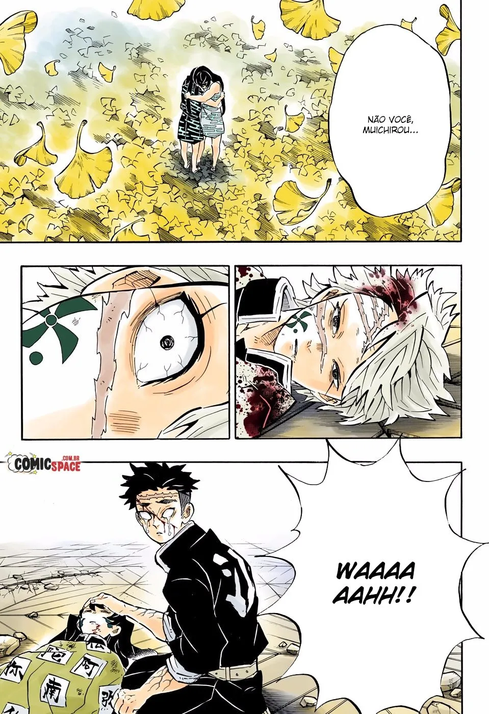 Read Demon Slayer_ Kimetsu no Yaiba PT Manga Online