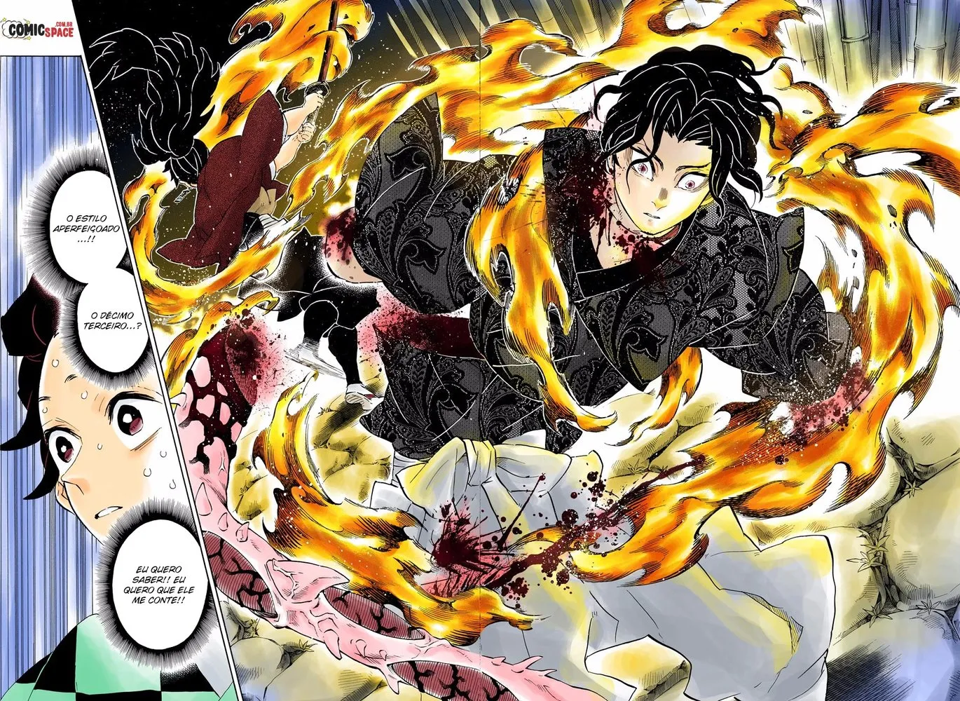 Read Demon Slayer_ Kimetsu no Yaiba PT Manga Online