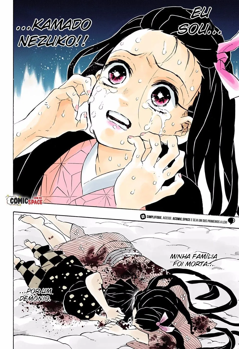 Read Demon Slayer_ Kimetsu no Yaiba PT Manga Online