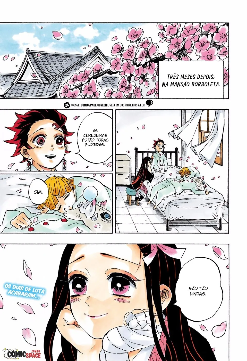 Read Demon Slayer_ Kimetsu no Yaiba PT Manga Online