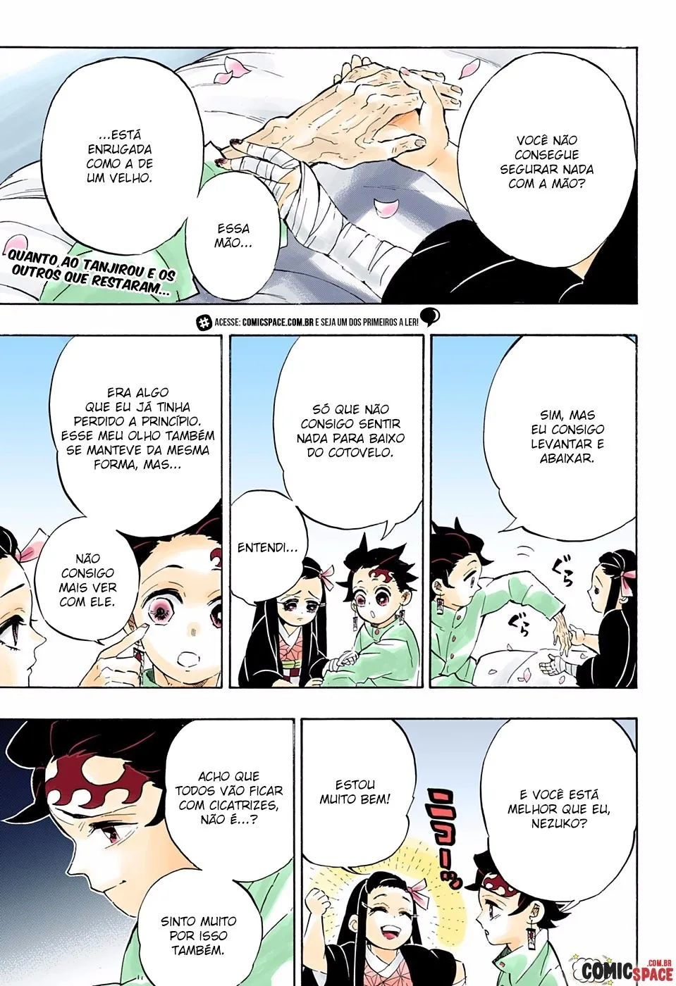Read Demon Slayer_ Kimetsu no Yaiba PT Manga Online