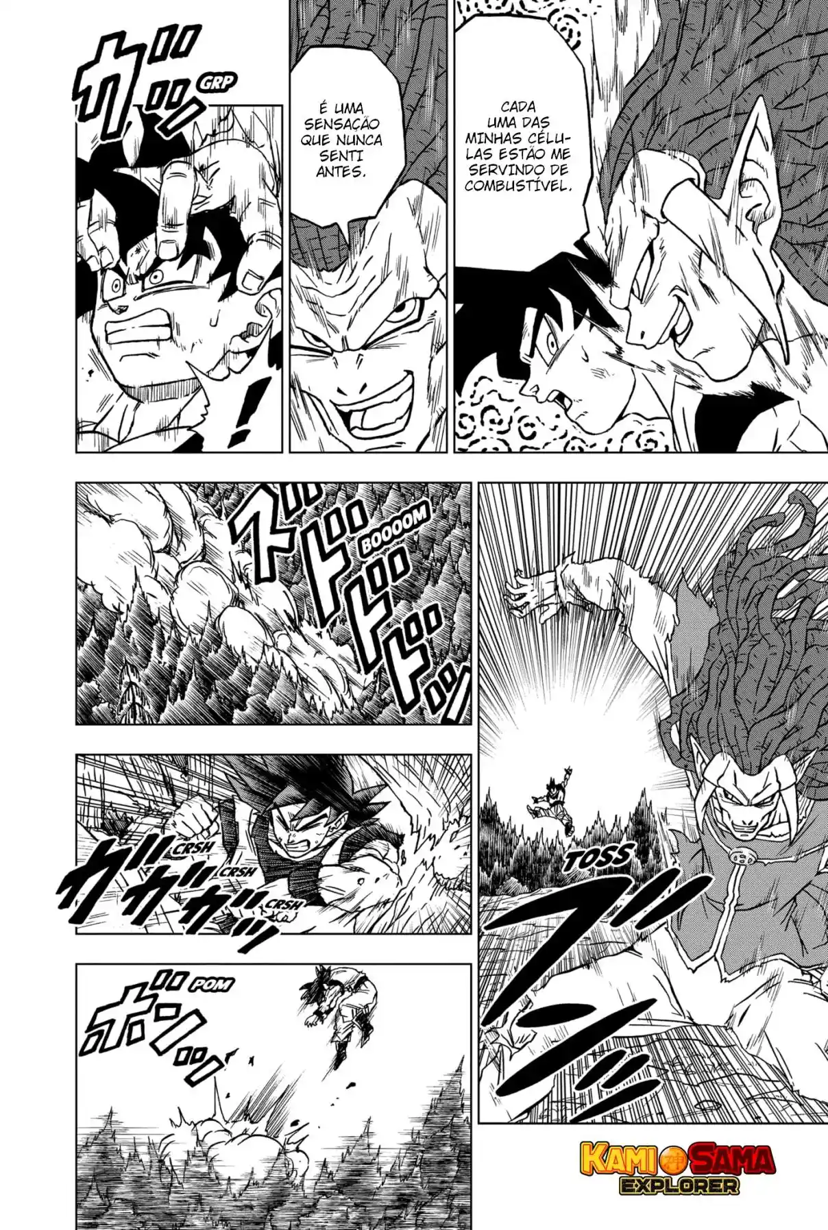 Read Dragon Ball Super PT Manga Online