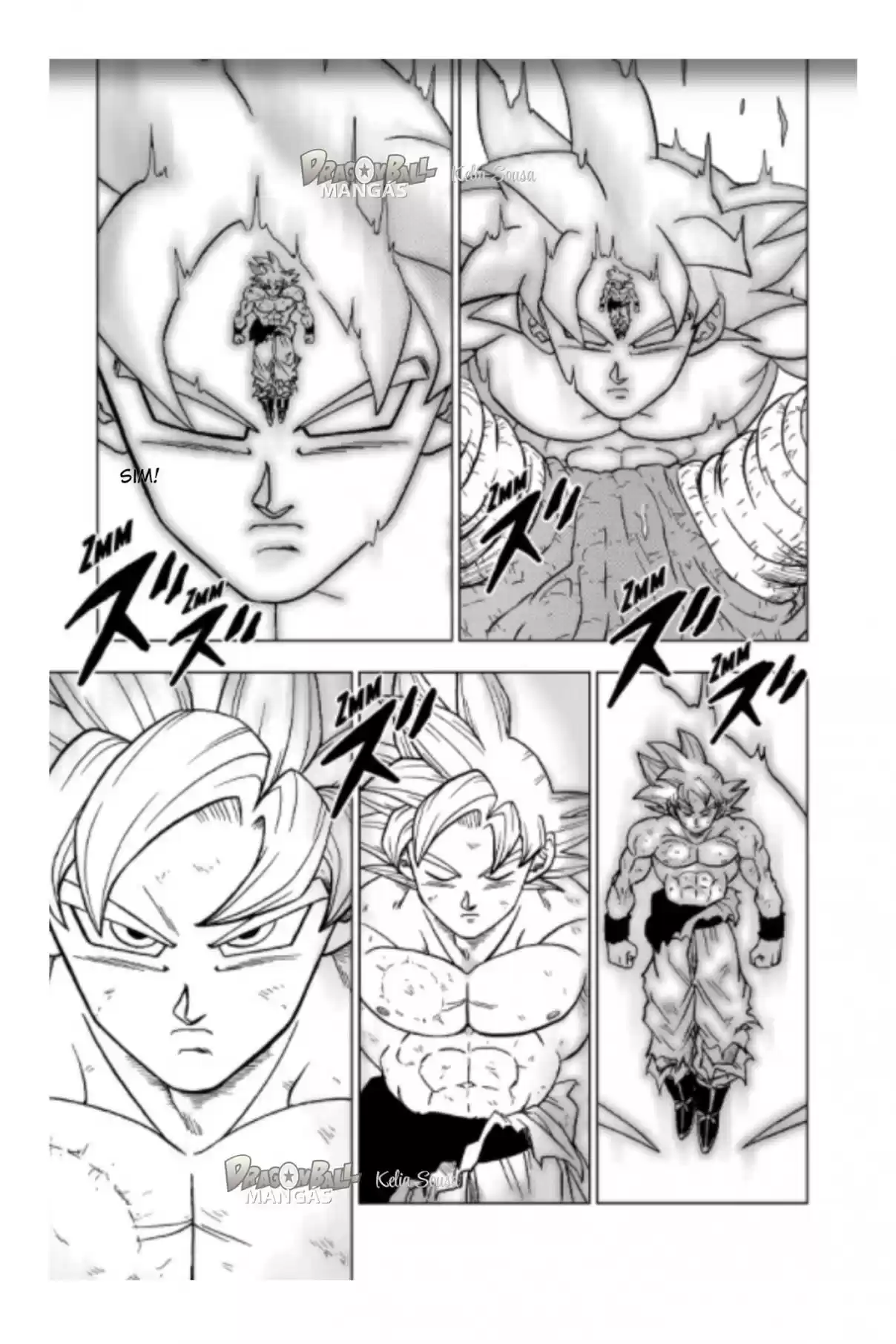 Read Dragon Ball Super PT Manga Online