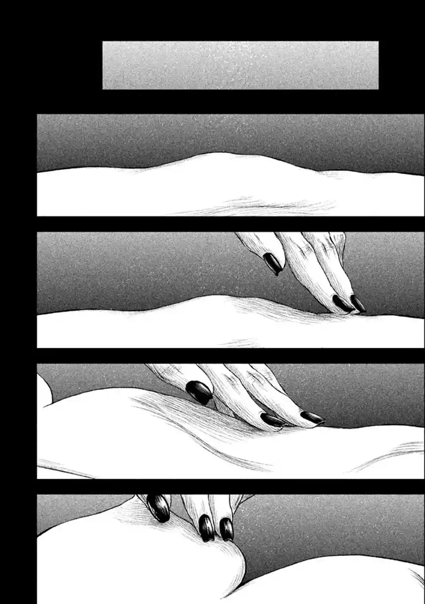 Read The Witch and the Beast PT Manga Online