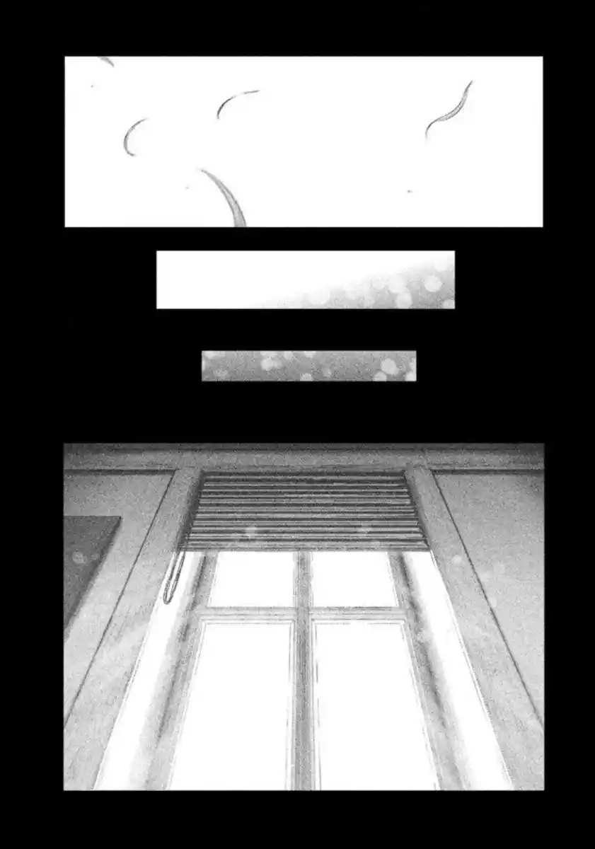 Read The Witch and the Beast PT Manga Online