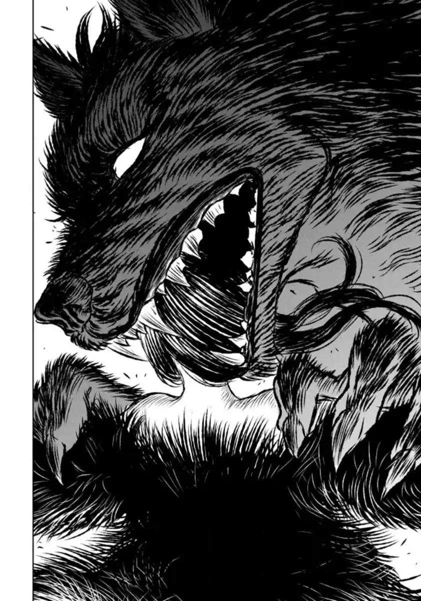 Read The Witch and the Beast PT Manga Online