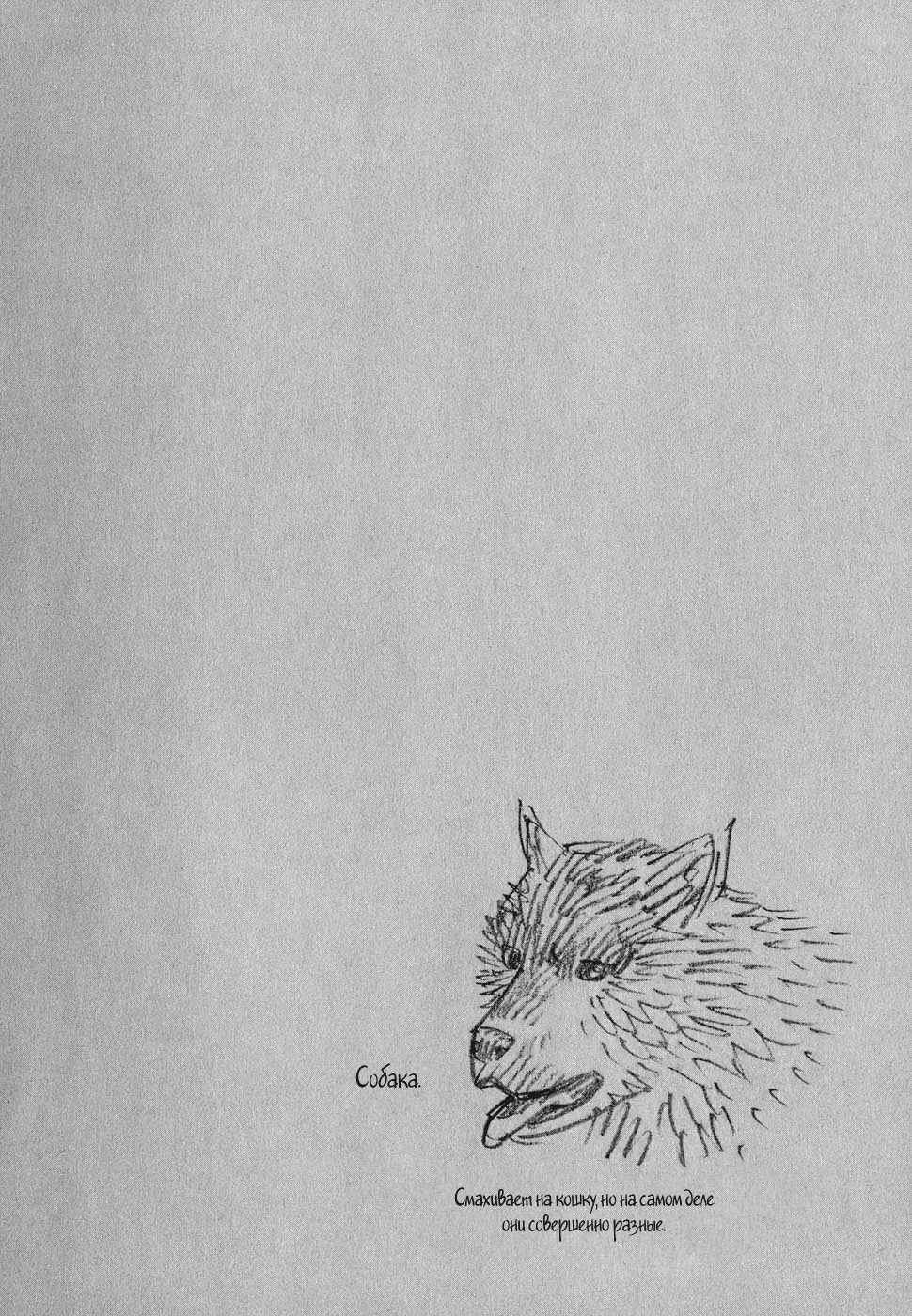 Read Бродяга Manga Online