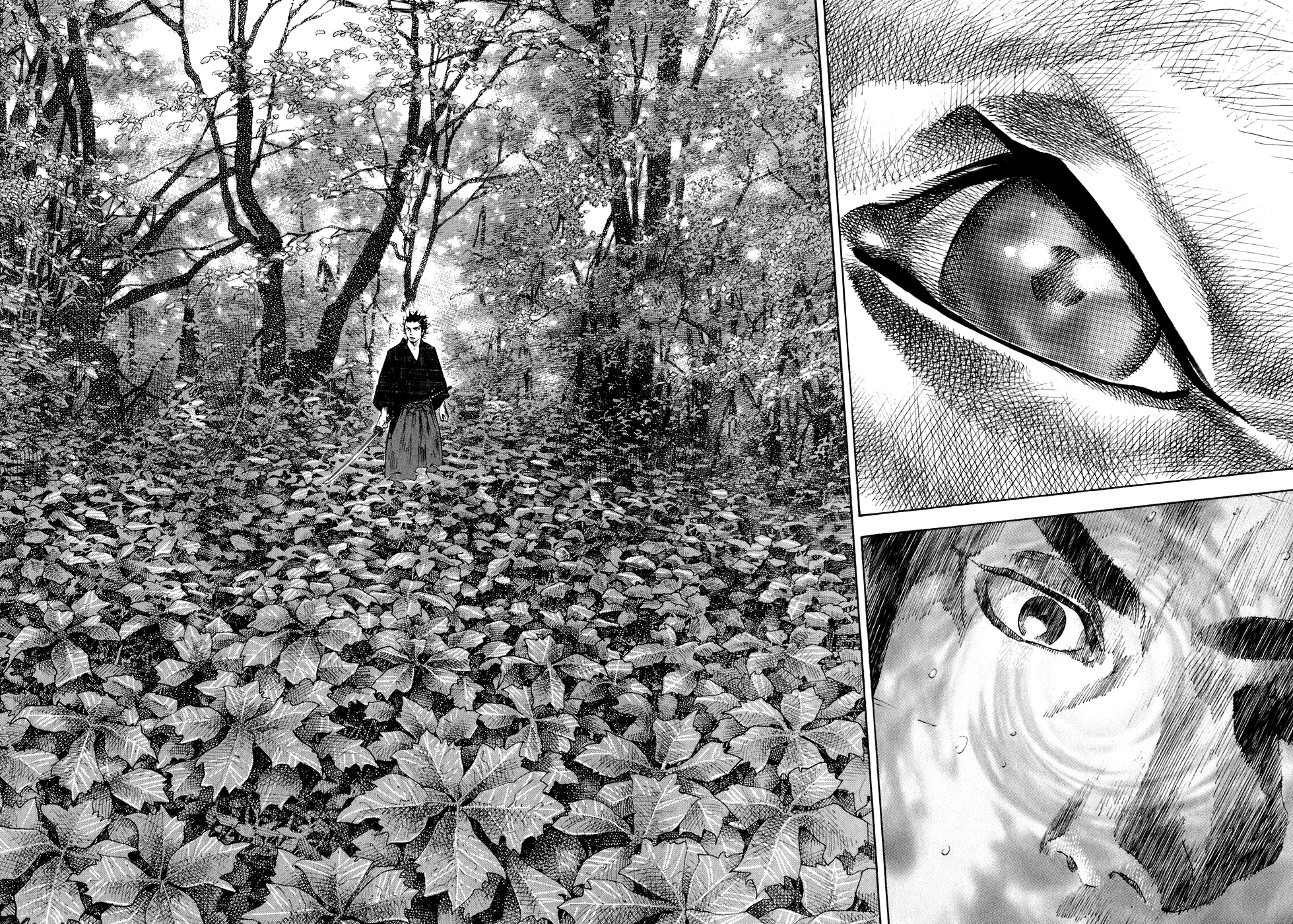 Read Бродяга Manga Online