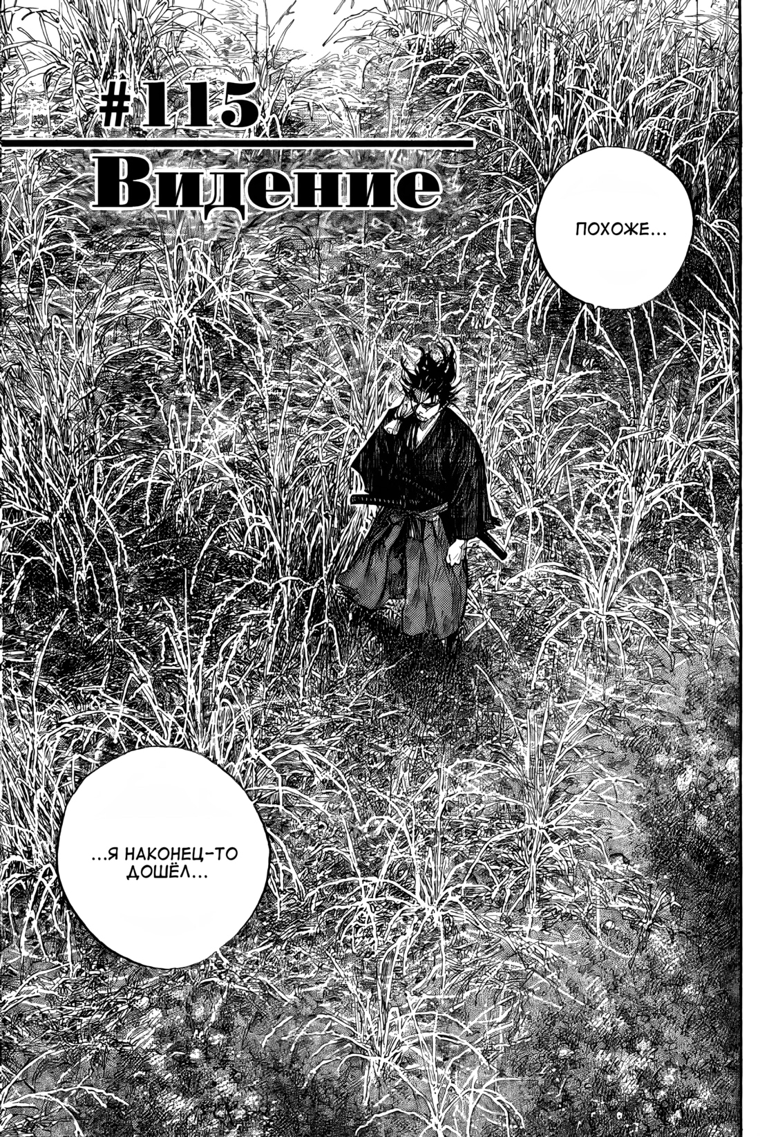 Read Бродяга Manga Online