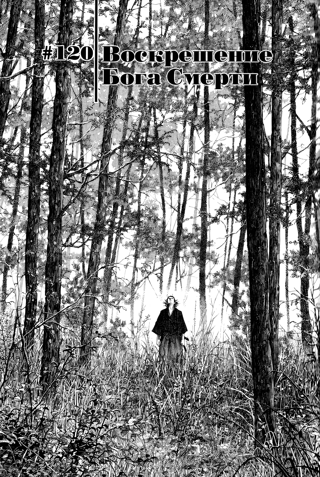 Read Бродяга Manga Online