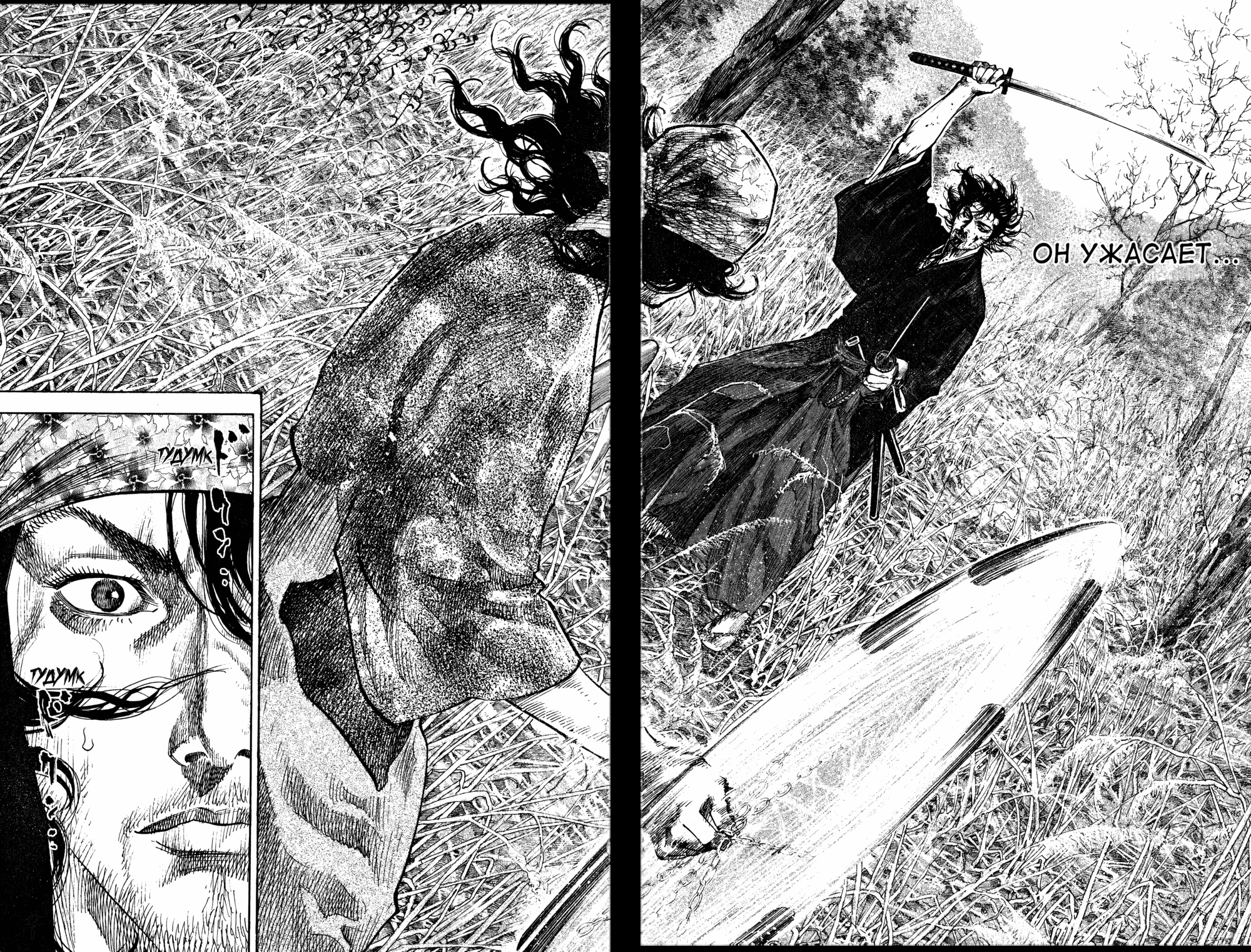 Read Бродяга Manga Online