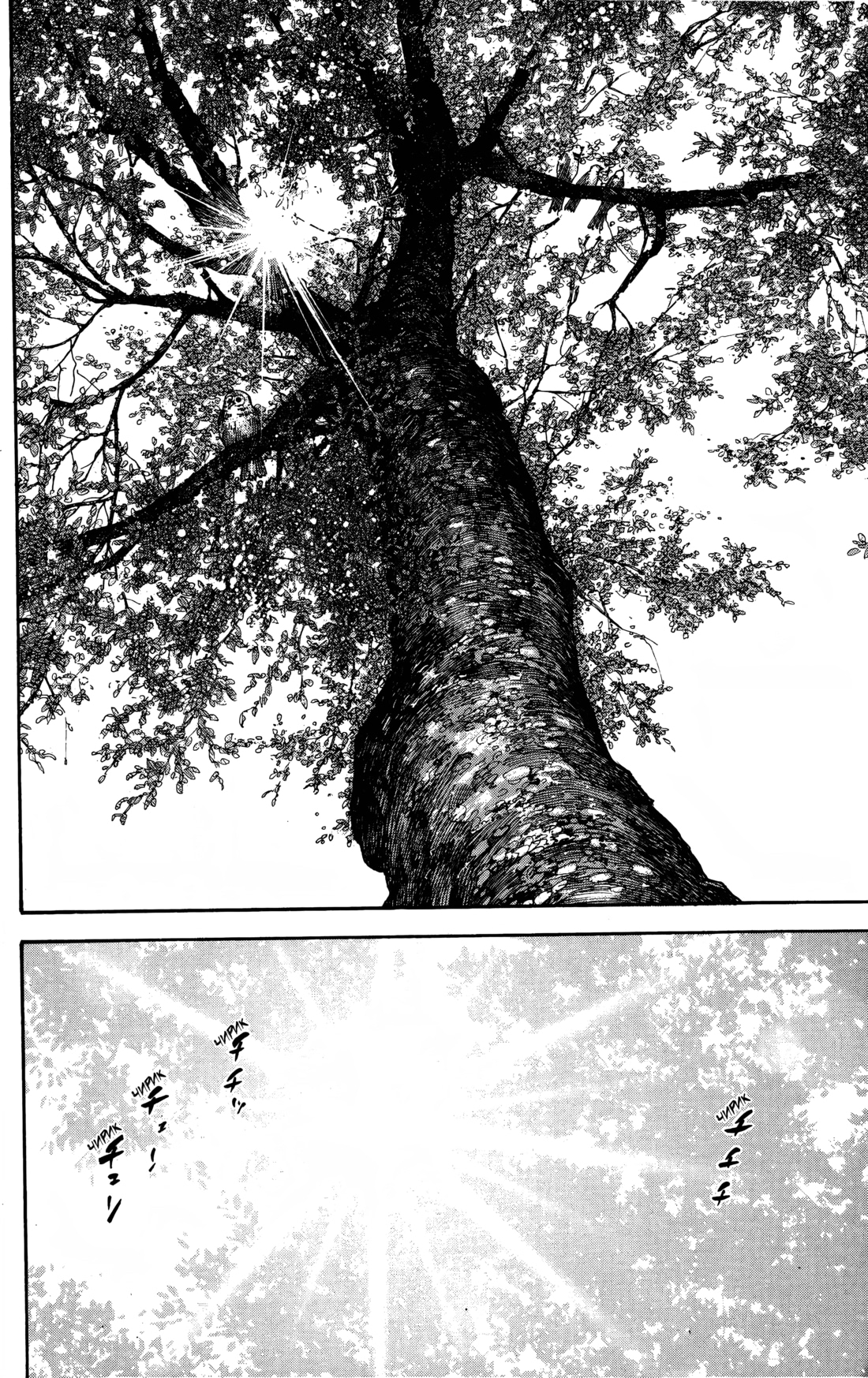 Read Бродяга Manga Online