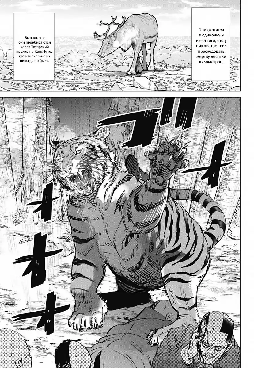 Read Золотой Бог Манга (Golden Kamui) Manga Online