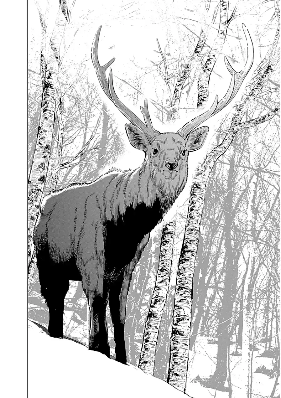 Read Золотой Бог Манга (Golden Kamui) Manga Online
