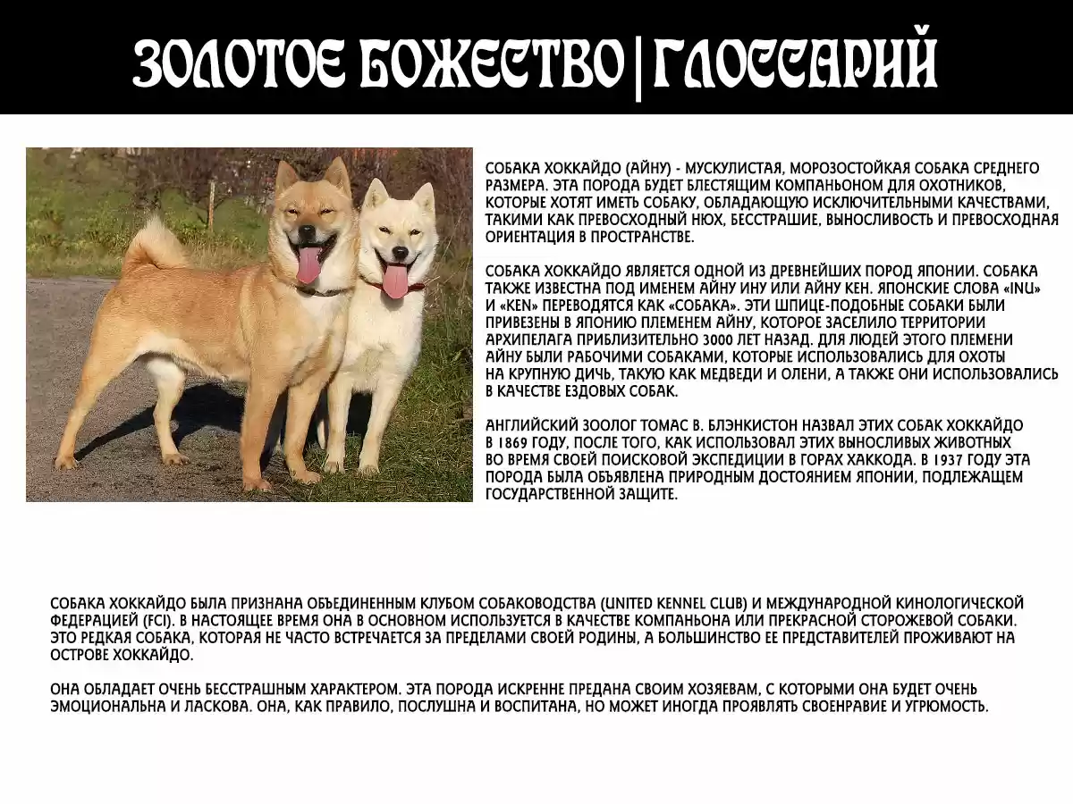 Read Золотой Бог Манга (Golden Kamui) Manga Online