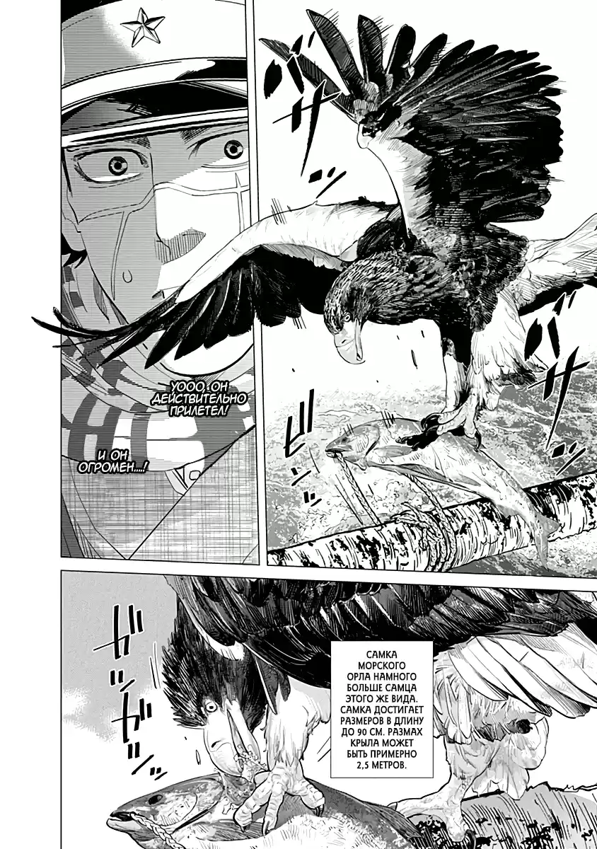 Read Золотой Бог Манга (Golden Kamui) Manga Online