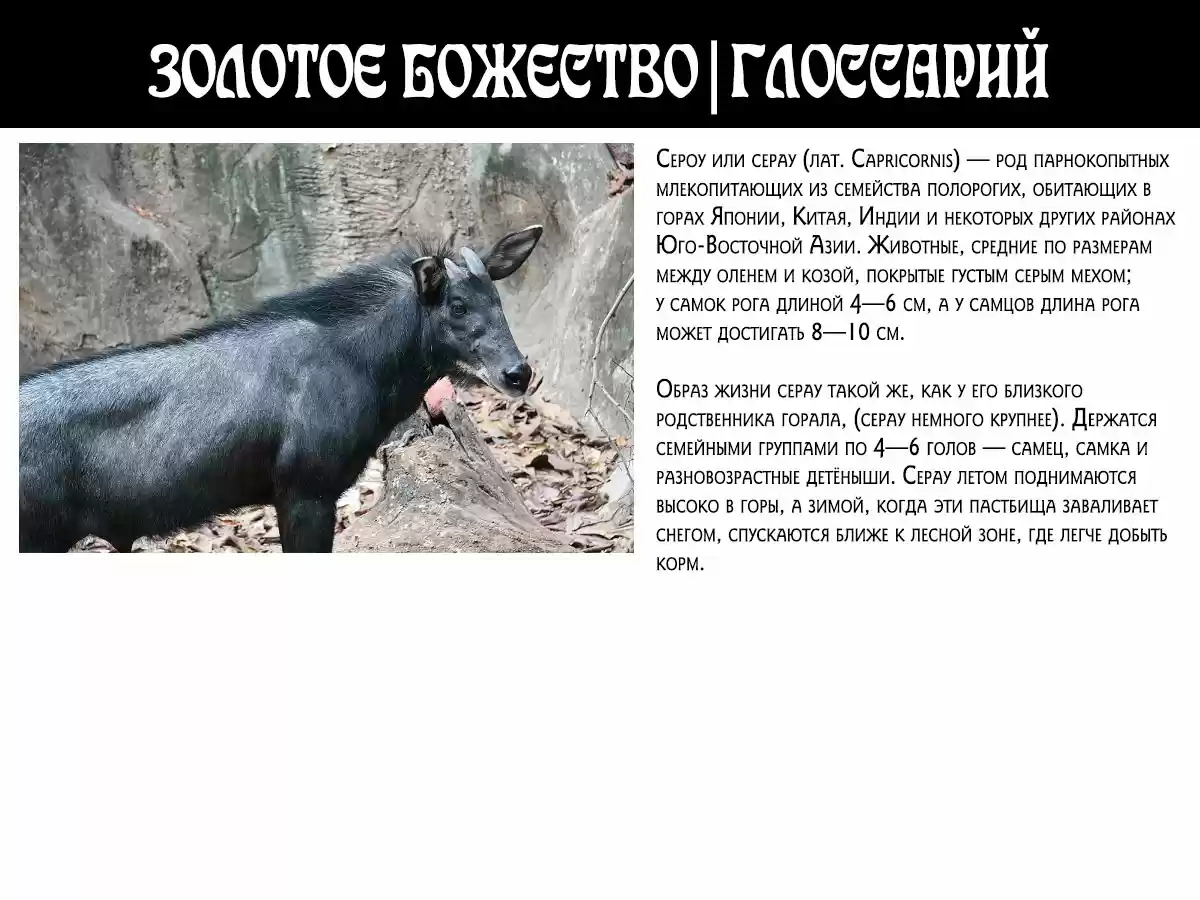 Read Золотой Бог Манга (Golden Kamui) Manga Online