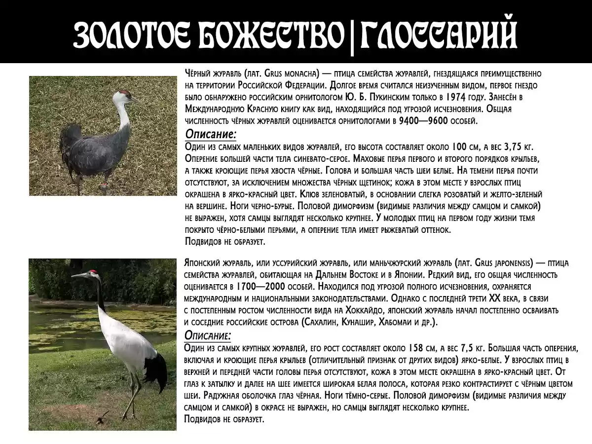 Read Золотой Бог Манга (Golden Kamui) Manga Online