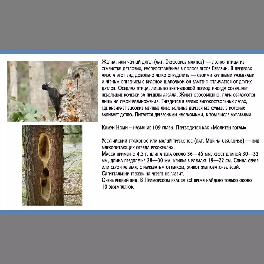 Read Золотой Бог Манга (Golden Kamui) Manga Online