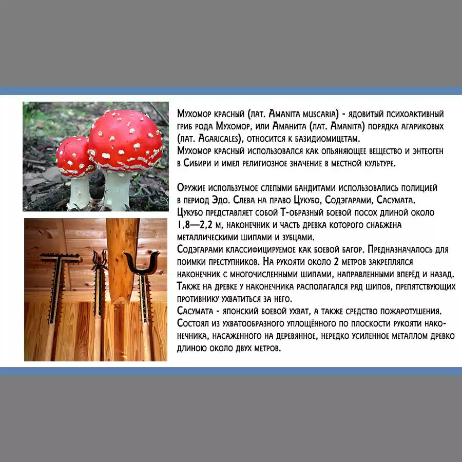 Read Золотой Бог Манга (Golden Kamui) Manga Online