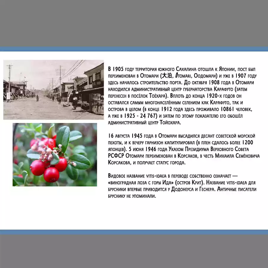 Read Золотой Бог Манга (Golden Kamui) Manga Online