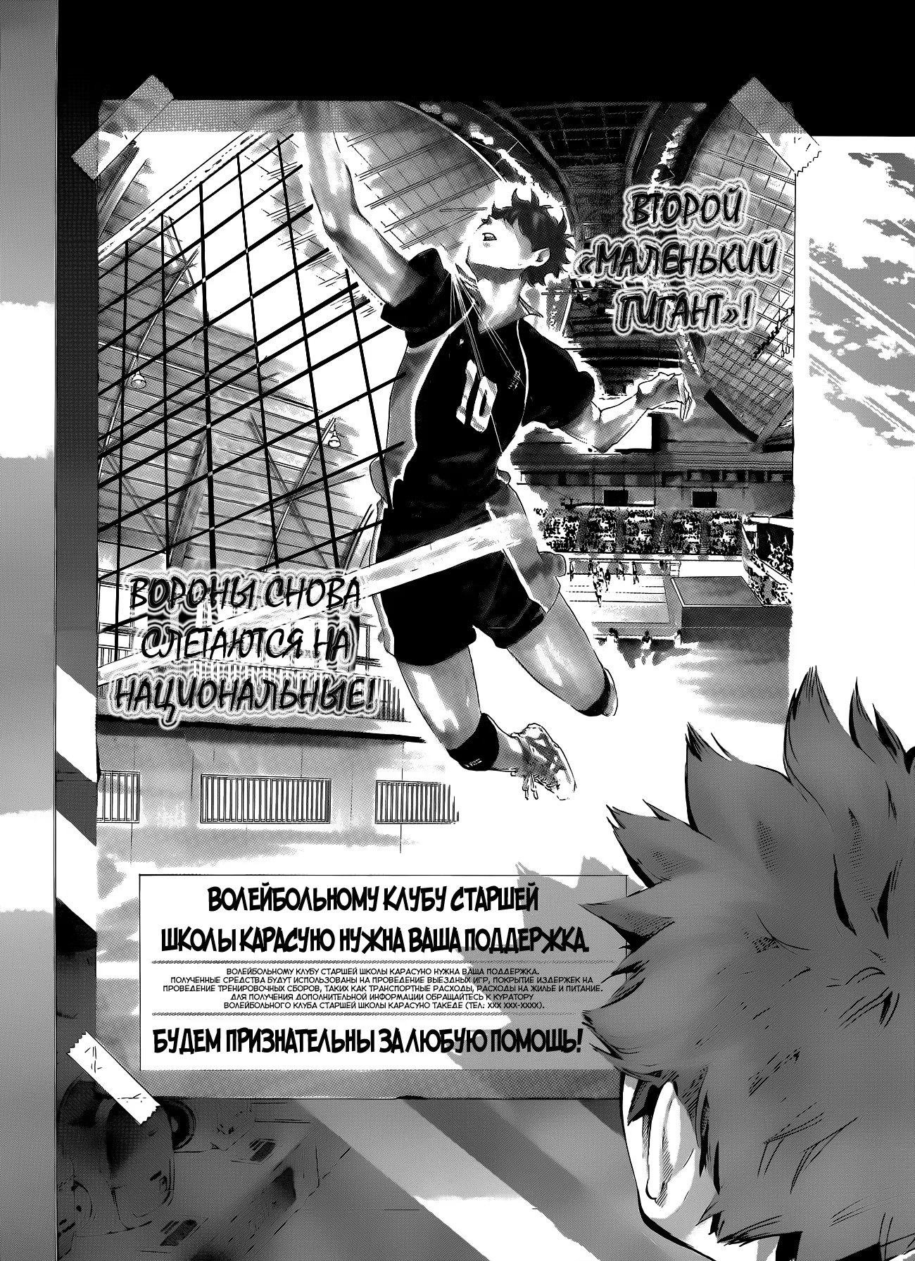 Read Haikyuu!! (Волейбол!!) Manga Online
