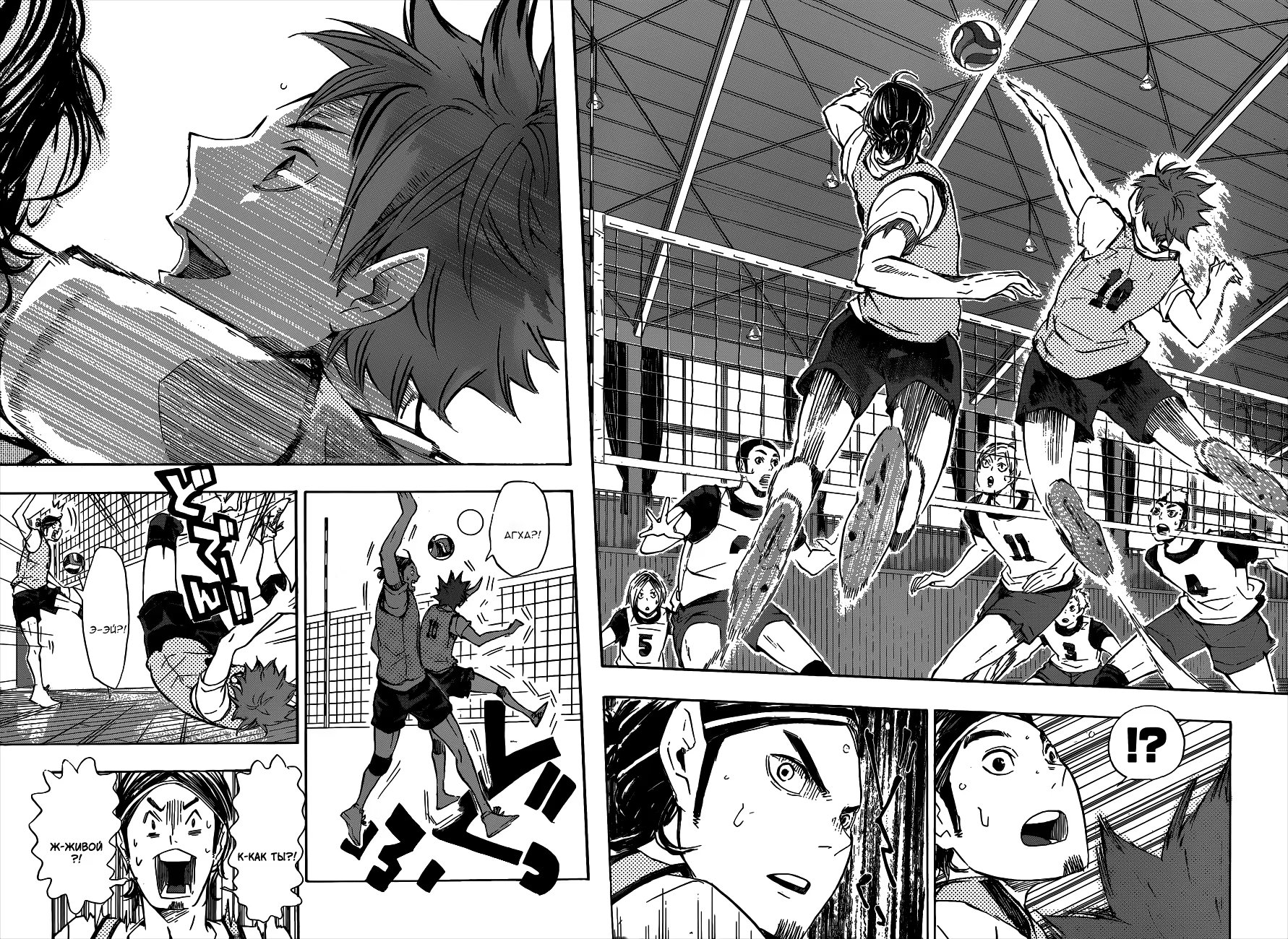 Read Haikyuu!! (Волейбол!!) Manga Online