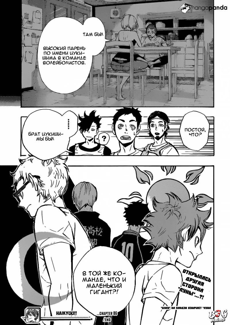 Read Haikyuu!! (Волейбол!!) Manga Online