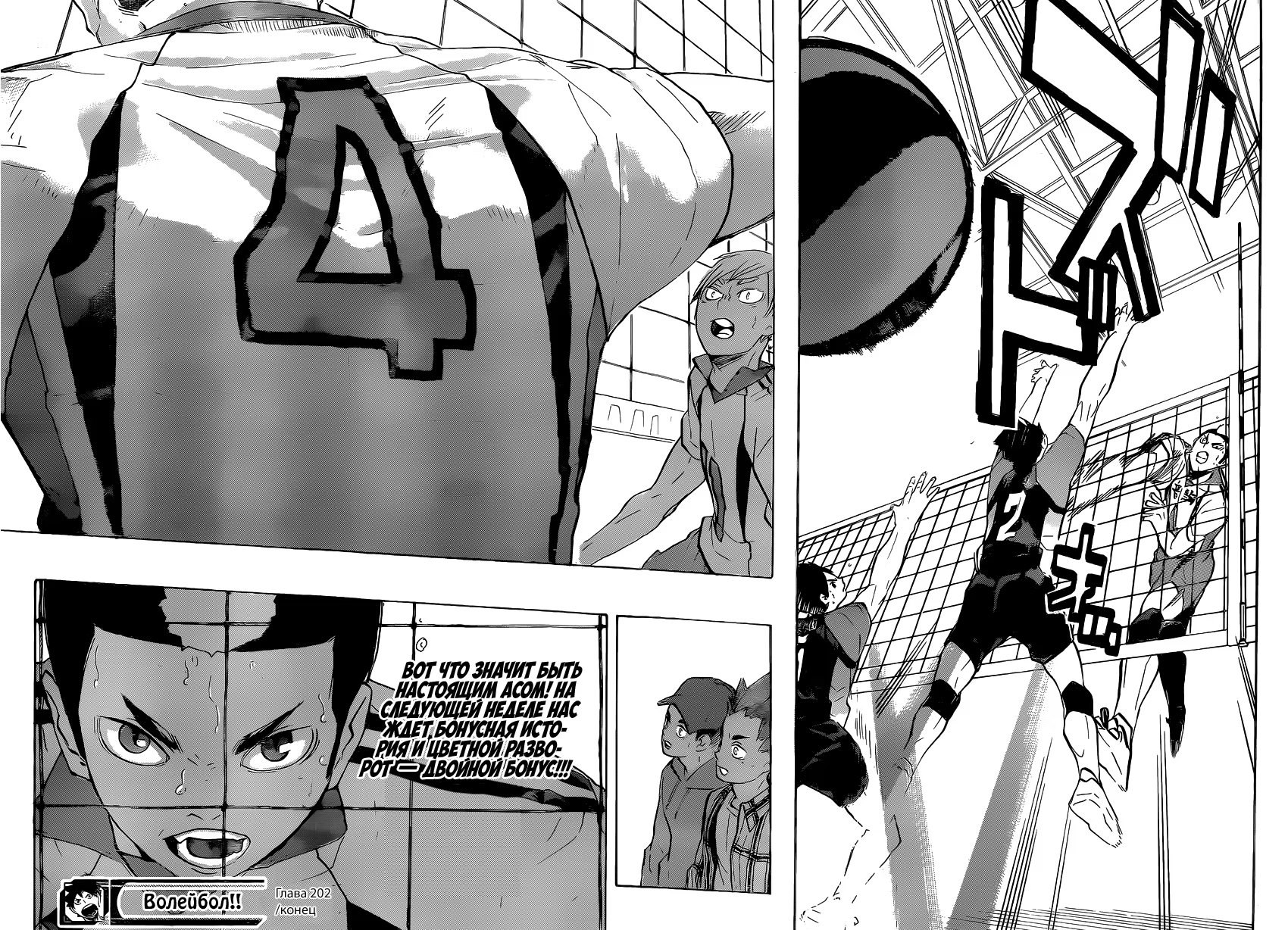 Read Haikyuu!! (Волейбол!!) Manga Online