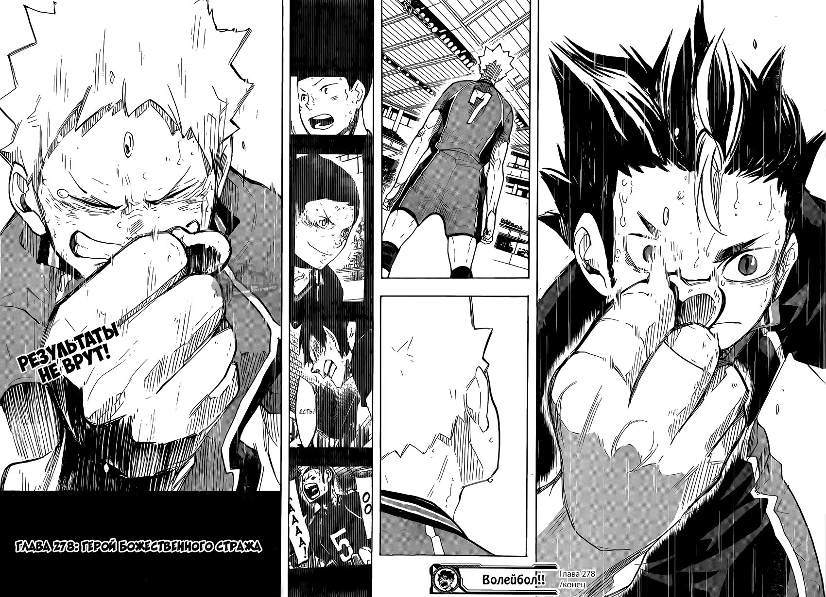 Read Haikyuu!! (Волейбол!!) Manga Online