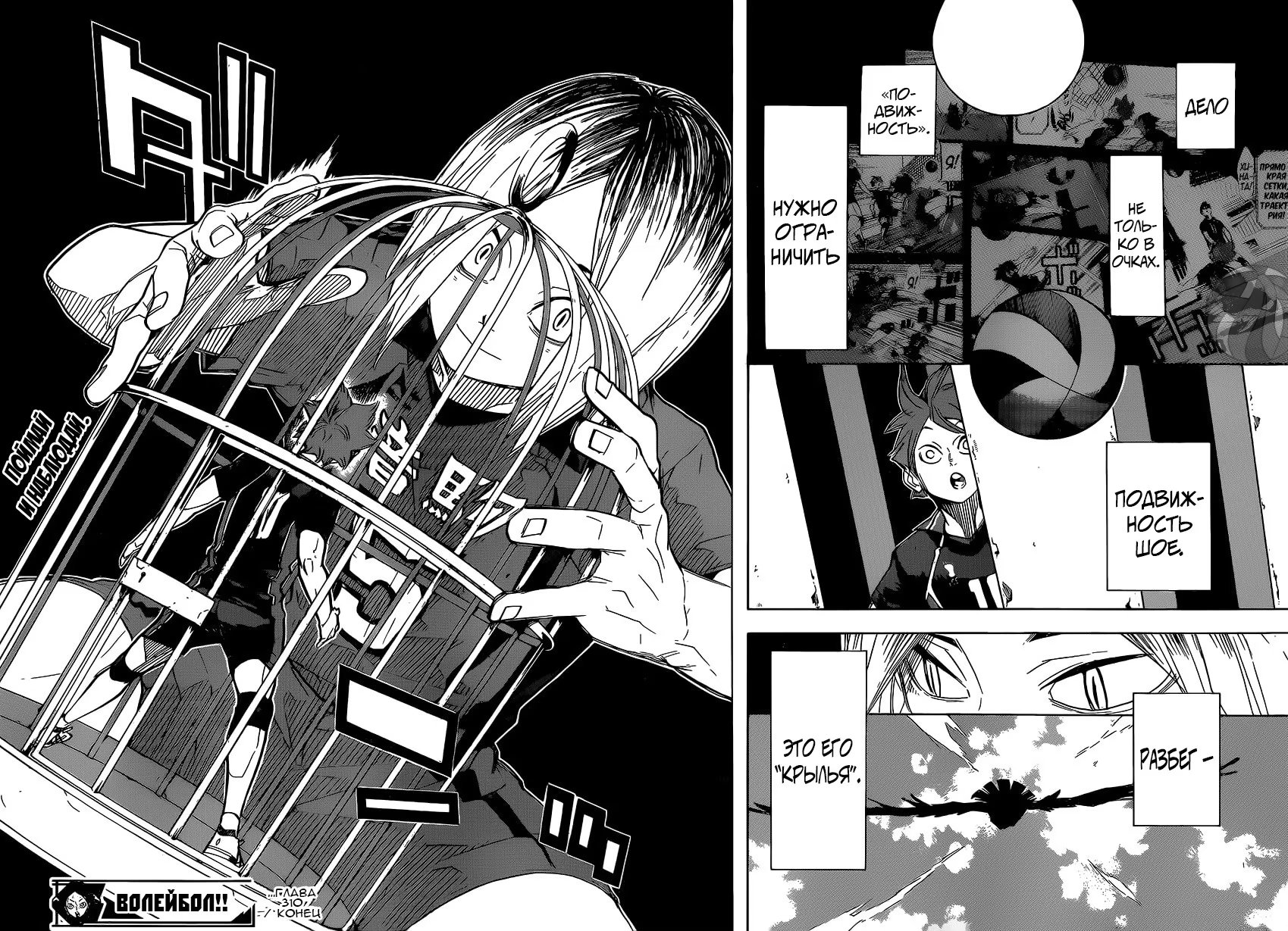 Read Haikyuu!! (Волейбол!!) Manga Online