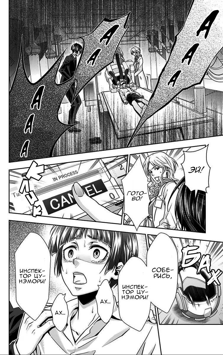 Read Inspector Akane Tsunemori (Психопаспорт Инспектор Цунемори Акане) Manga Online