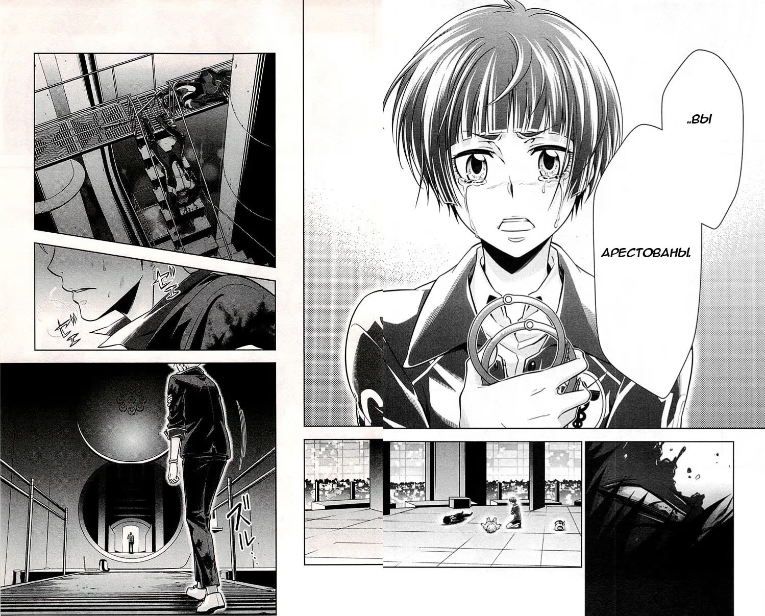 Read Inspector Akane Tsunemori (Психопаспорт Инспектор Цунемори Акане) Manga Online