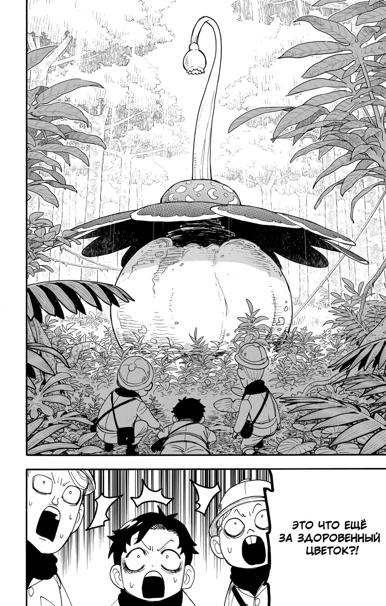 Read Spy X Family (Семья шпиона) Manga Online