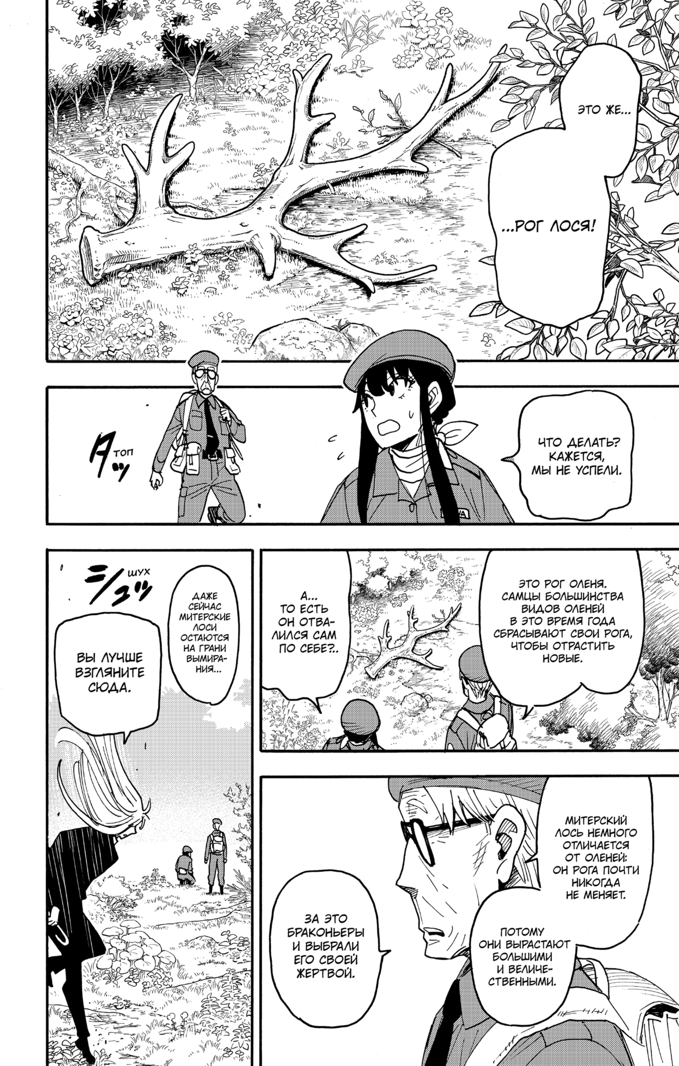 Read Spy X Family (Семья шпиона) Manga Online