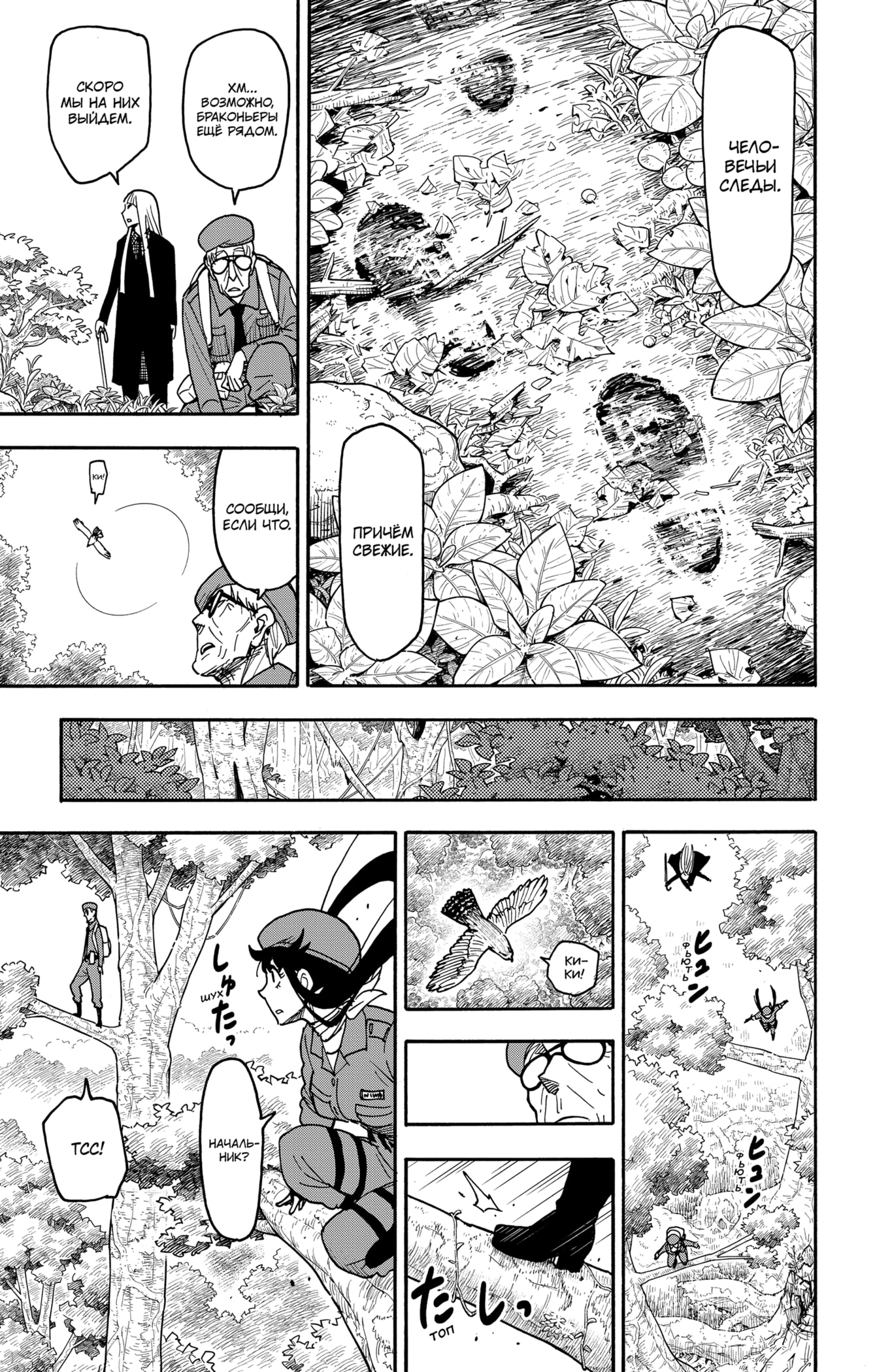 Read Spy X Family (Семья шпиона) Manga Online