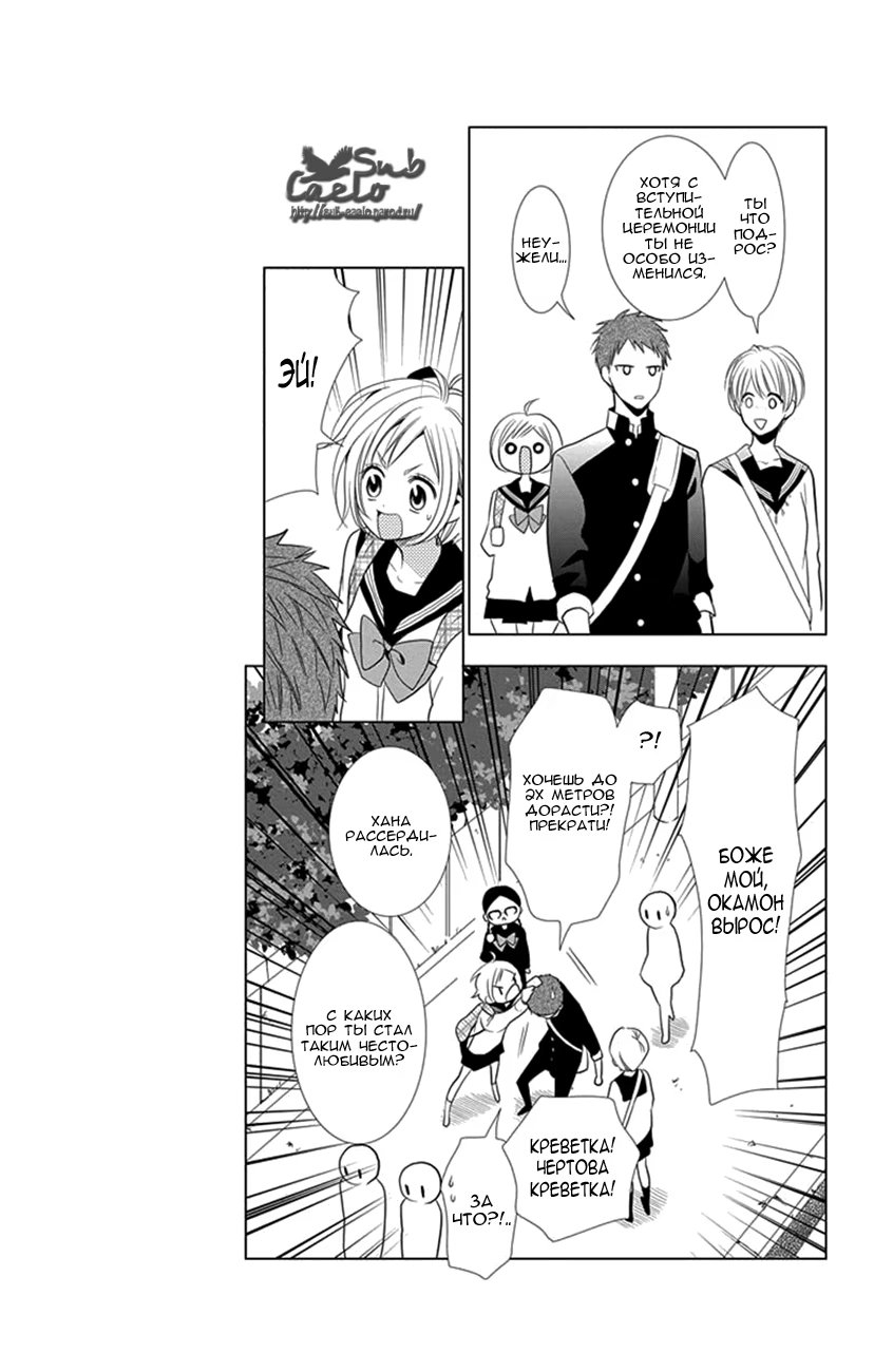 Read Takane to Hana (Таканэ и Хана) Manga Online