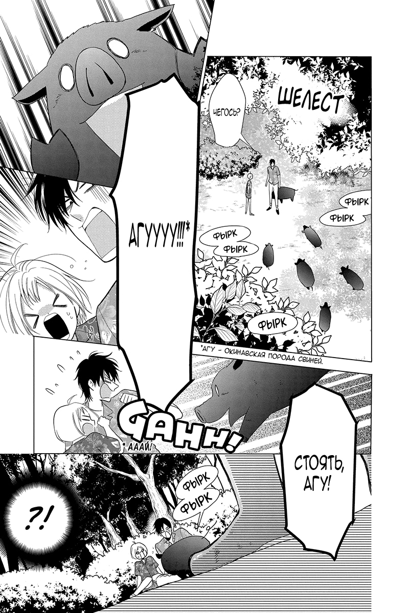 Read Takane to Hana (Таканэ и Хана) Manga Online